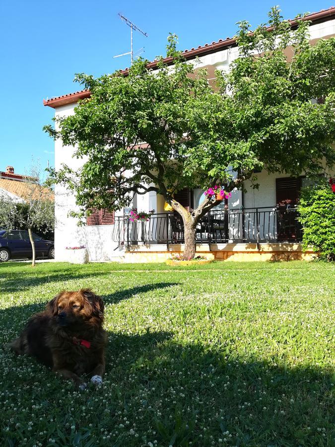 Villa Nina Porec Exterior photo